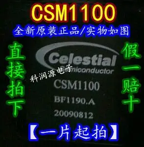 CSM1100 BGA-352 /