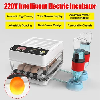 Инкубатор За Яйца 10/12 Полноавтоматический Инкубатор с Контрол на Температурата за Ферма за Птици на една квачка, За изваждане на Пъдпъдъчи Пилета от Инкубатор за Допълване на Вода